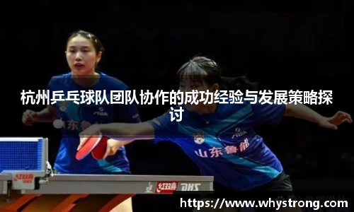 杭州乒乓球队团队协作的成功经验与发展策略探讨